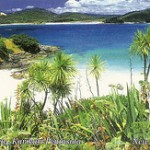 nz4 nz4