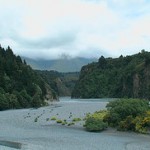 nz5 nz5