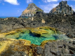 tide-pool-fernando-de-noronha-national-marine-sanctuary-pernambuco-brazil tide-pool-fernando-de-noronha-national-marine-sanctuary-pernambuco-brazil