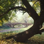 800px-Central_Park_New_York_City_New_York_23_cropped